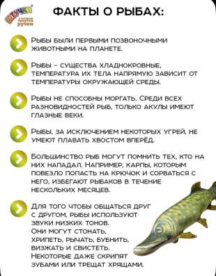 плюшевая игрушка щука в Казани фото 5