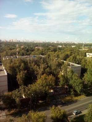 Эксклюзив в Москве