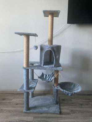 Дом для кота