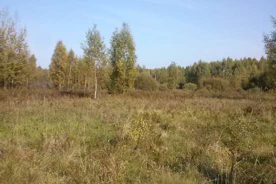 Земельный участок с/х в Ярославле