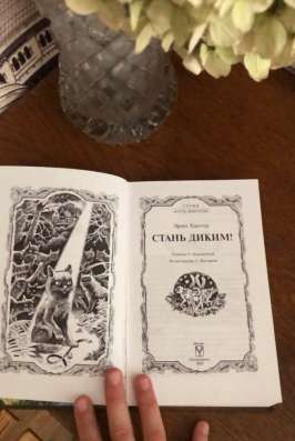 Книга. Коты-воители в Чусовой фото 3