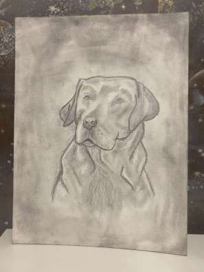 Рисую животных на заказ