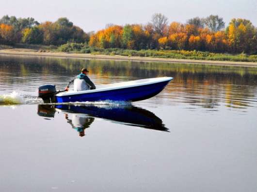 Купить лодку Wyatboat-430 в Твери фото 3