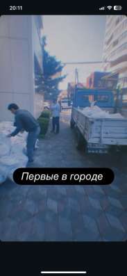 Вывоз строительного отхода груза перевозки в Сочи фото 3