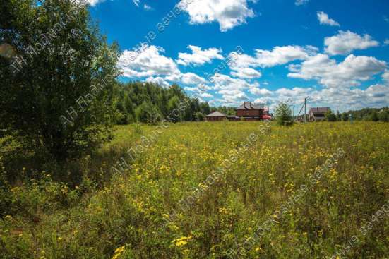 realty_mapper3.plot_in_locationСадовое некоммерческое тов-во. Площадь 36.70 сот.Есть Электричество.