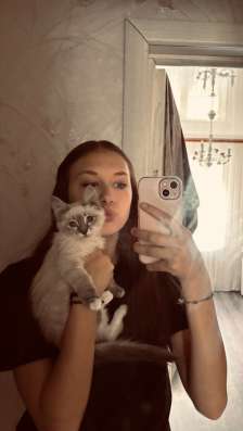 голубоглазая кошечка срочно ищет дом!!
