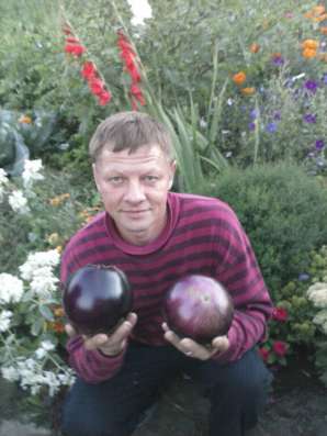 Константин, 53 года, хочет пообщаться