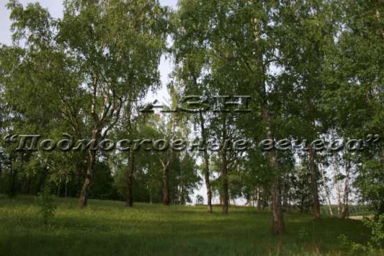 realty_mapper3.plot_in_locationИндивидуальное жилищное ст-во. Площадь 30.00 сот.Есть Водопровод. в Москве