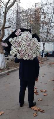 Denis, 21 год, хочет пообщаться