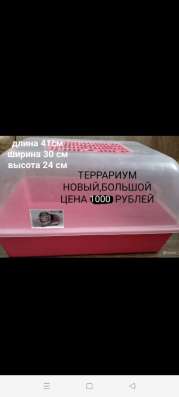 Товары для животных в Борисоглебске фото 26