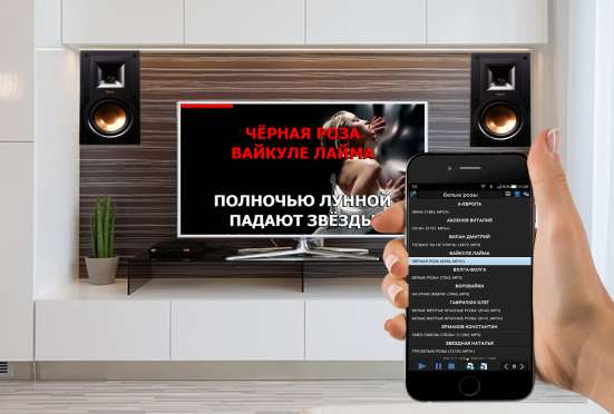 Профессиональная караоке-система