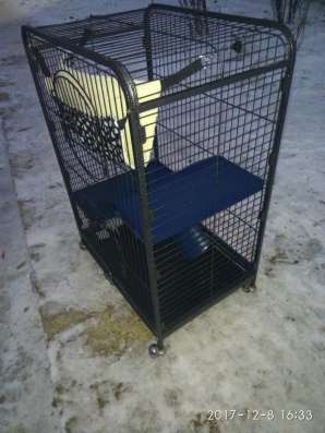 Клетка в Обнинске