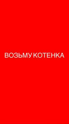 ВОЗЬМУ КОТЕНКА