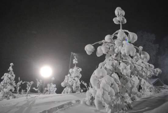участок 15 ИЖС д. Бородино