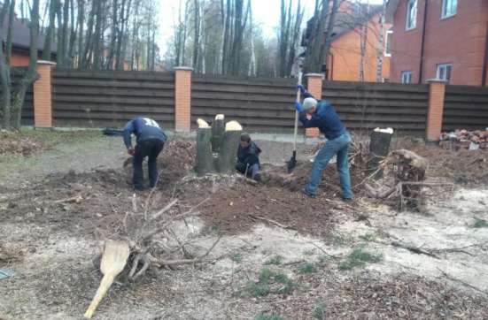 Земляные работы, Благоустройство: Недорого! Воронеж в Воронеже фото 31