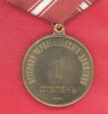 Ветерану Чернобыльского движения 1 степени с документом в Орле фото 8