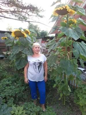 Наталья, 40 лет, хочет познакомиться