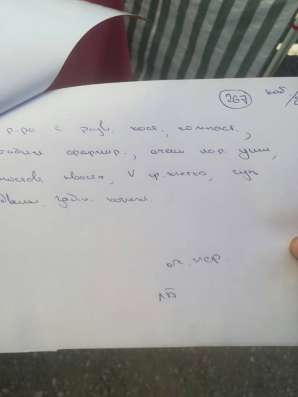 Продается щенок папийона в Краснотурьинске фото 10