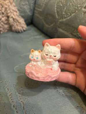котики в Нижнем Новгороде