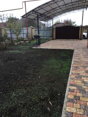Газонные семена в Краснодаре фото 3