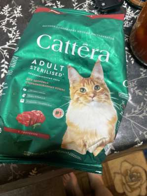 Прадаю корм cattera