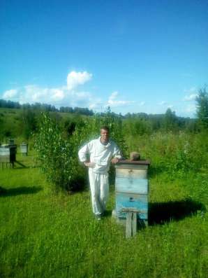 Продам пчёлопакеты