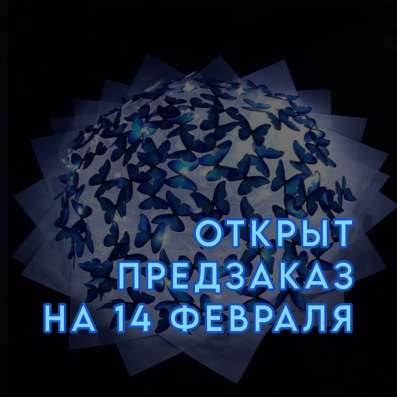 Букеты с бабочками в Владикавказе фото 3