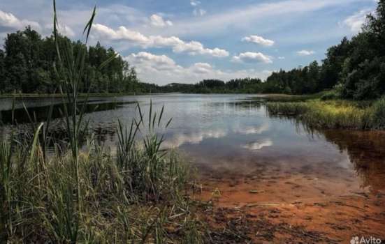 Два земельных участка ЛПХ в деревне Забельско в Пскове фото 6