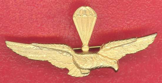 Италия знак Пилот десантного самолета ВВС 22х46 мм