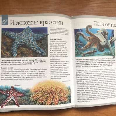 Детская энциклопедия Мир Моря в Москве фото 4