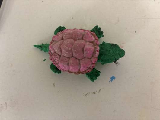 Mini turtle ?