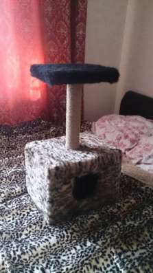 продам домик для кошки. в Бердске фото 3