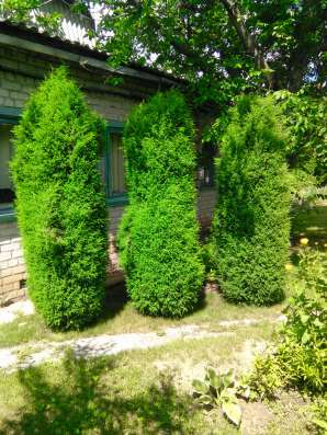 Продается дача в Волгограде