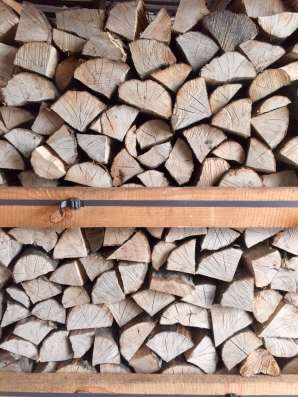 Brennholz: Hainbuche, Eiche, Birke, Erle, Espe, RUF