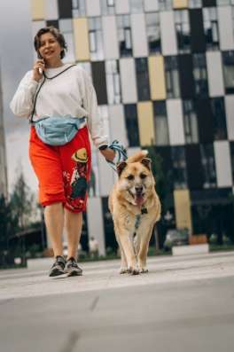 Добрый пёс Шамуб ищет дом! в Москве фото 3