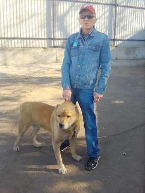 Валерий, 51 год, хочет пообщаться