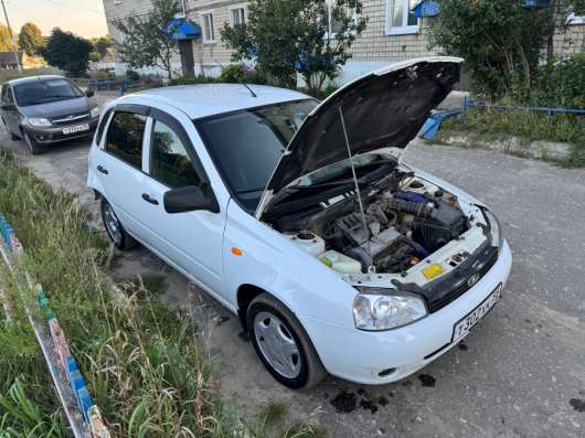 Lada Kalina в Пензе фото 7