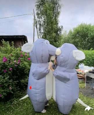 Костюм крысы аренда 2 шт в Саранске фото 8