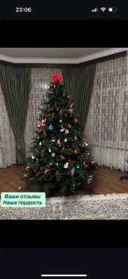 Елки в Владикавказе фото 7