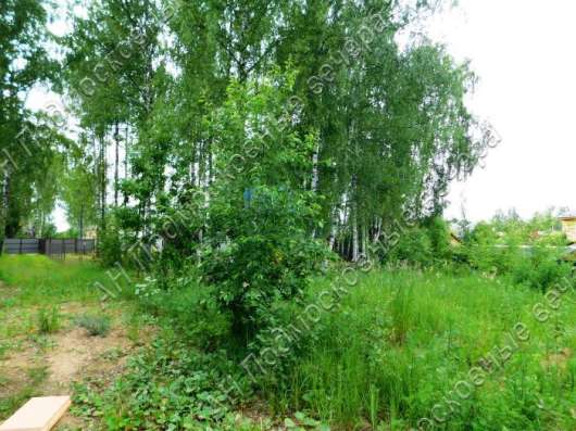 realty_mapper3.plot_in_locationПлощадь 14.00 сот.Есть Электричество, Газ. в Нахабино фото 5