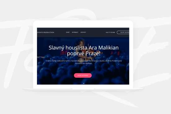 Создание сайтов в Праге. Веб разработка Чехия фото 6