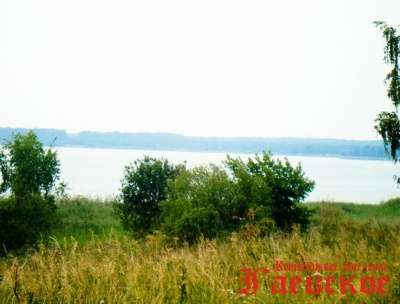 Куплю автомобиль в Екатеринбурге фото 3