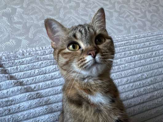 Малышка ищет дом