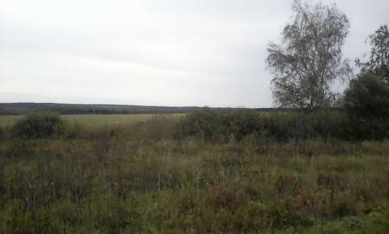 Продается земельный участок в Арзамасе