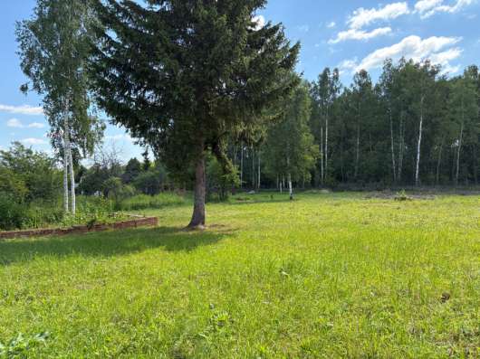 Продаю участок 15 соток в Богородске фото 5