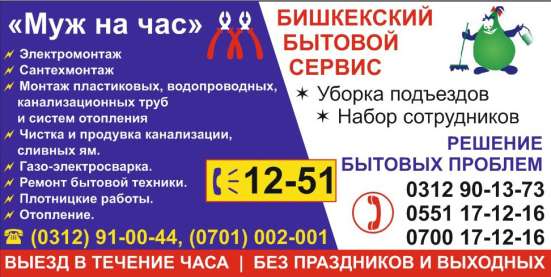 Муж на час Бытовые услуги