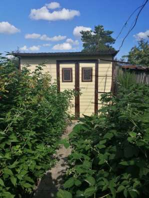 Продам дачу новопавловка Борки фото 4