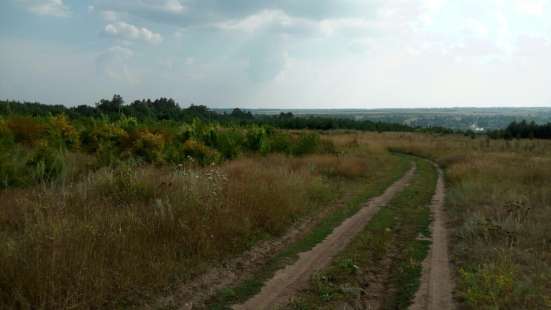 Фермерское хозяйство в Самаре фото 3