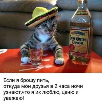Игорь, 40 лет, хочет познакомиться