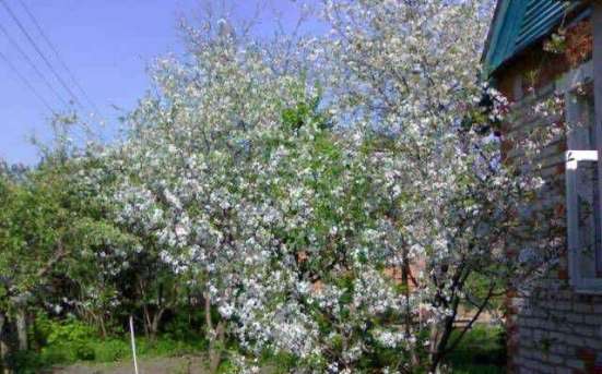Продам дом в Воскресенске. Жилая площадь 30 кв.м. в Воскресенске фото 5